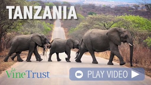 Vine Trust Tanzania Promotional Video
